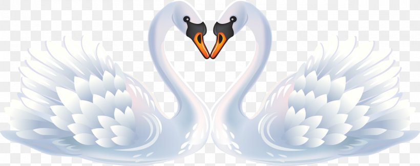 Black Swan Clip Art, PNG, 1200x477px, Black Swan, Beak, Brand, Cygnini, Heart Download Free