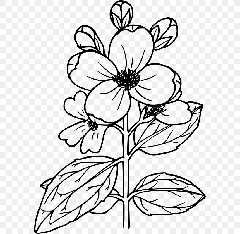 Flower Drawing Power House Mechanic Working On Steam Pump Clip Art, PNG, 588x800px, Flower, Black And White, Botanical Illustration, Botany, Branch Download Free