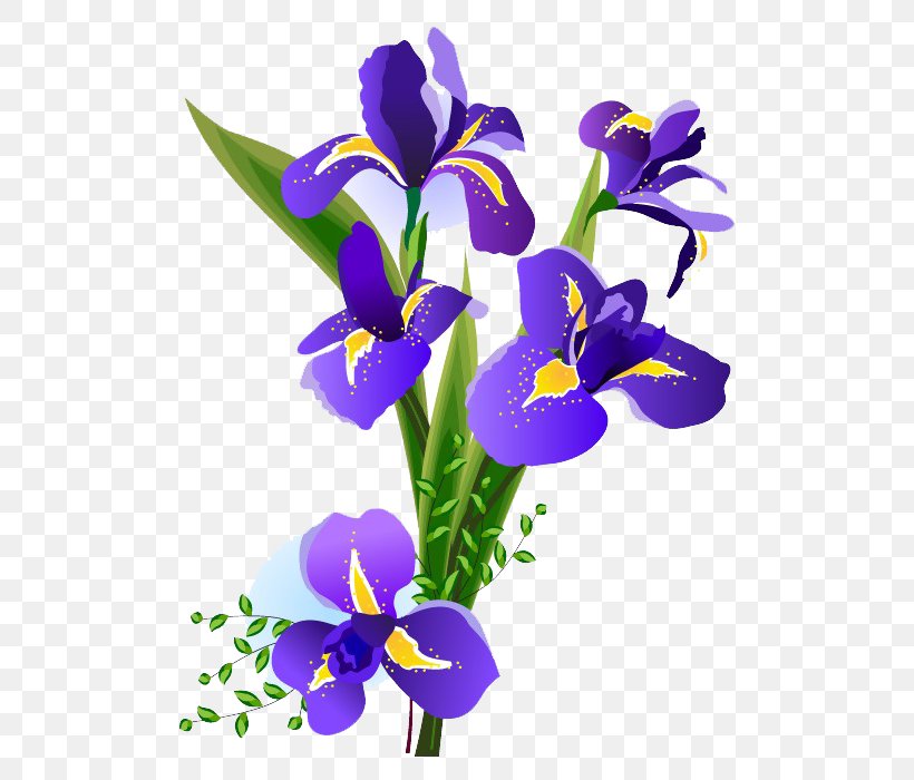 Iris Versicolor Flower Floral Design Art, PNG, 700x700px, Iris Versicolor, Art, Blue, Color, Cut Flowers Download Free