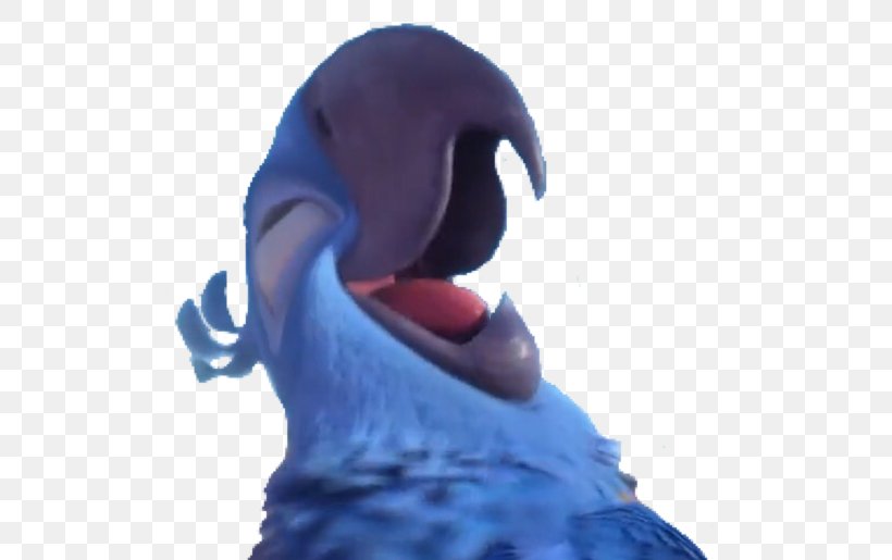 Beak Parrot Cobalt Blue Neck, PNG, 686x515px, Beak, Bird, Blue, Cobalt, Cobalt Blue Download Free