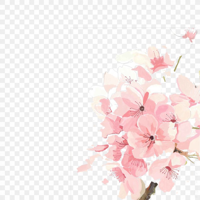 Cherry Blossom, PNG, 2362x2363px, Cherry Blossom, Blossom, Branch, Cerasus, Cherry Download Free