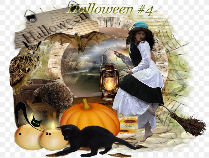 Halloween Film Series Pumpkin, PNG, 800x622px, Halloween, Halloween Film Series, Pumpkin, Thanksgiving Download Free