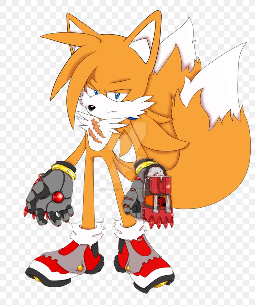 Tails Sonic Chaos Cat Sonic Free Riders Sonic Boom: Shattered Crystal, PNG, 811x984px, Watercolor, Cartoon, Flower, Frame, Heart Download Free