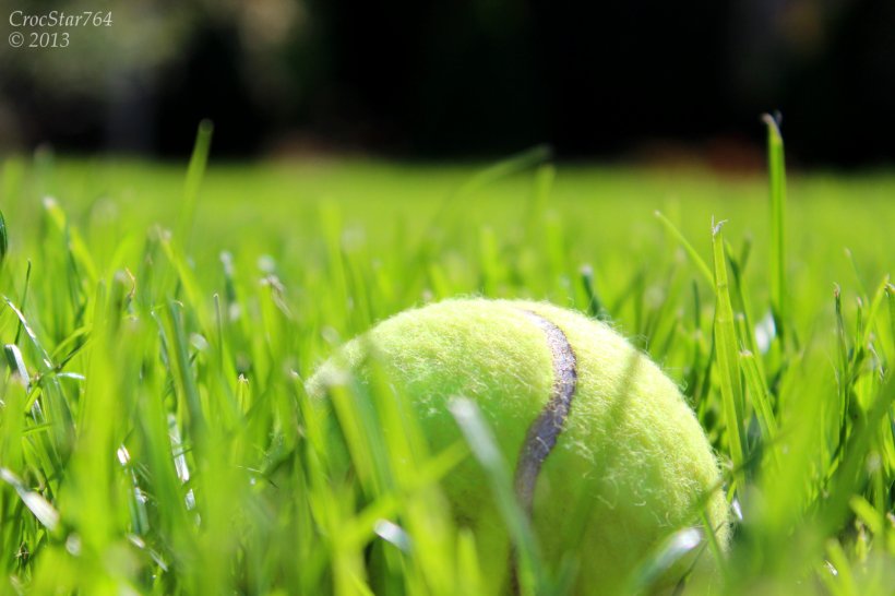 The Championships, Wimbledon Tennis Balls Padel, PNG, 1600x1067px, Championships Wimbledon, Ball, Beach Tennis, Close Up, Commodity Download Free