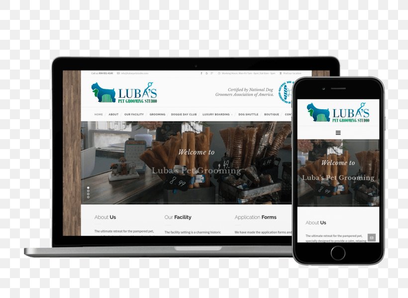 Website Development Responsive Web Design Multimedia, PNG, 800x600px, Website Development, Brand, Dog Grooming, Electronic Device, Electronics Download Free