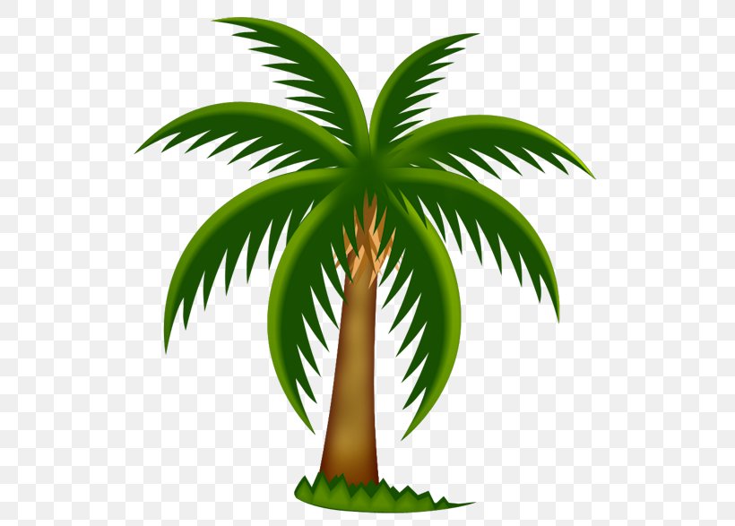 Arecaceae Tree Clip Art, PNG, 538x587px, Arecaceae, Arecales, Cartoon, Coconut, Date Palm Download Free