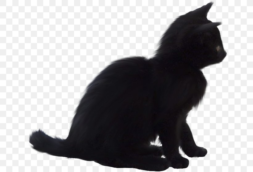 Black Cat Bombay Cat Domestic Short-haired Cat Whiskers, PNG, 651x559px, Black Cat, Black, Black And White, Bombay, Bombay Cat Download Free