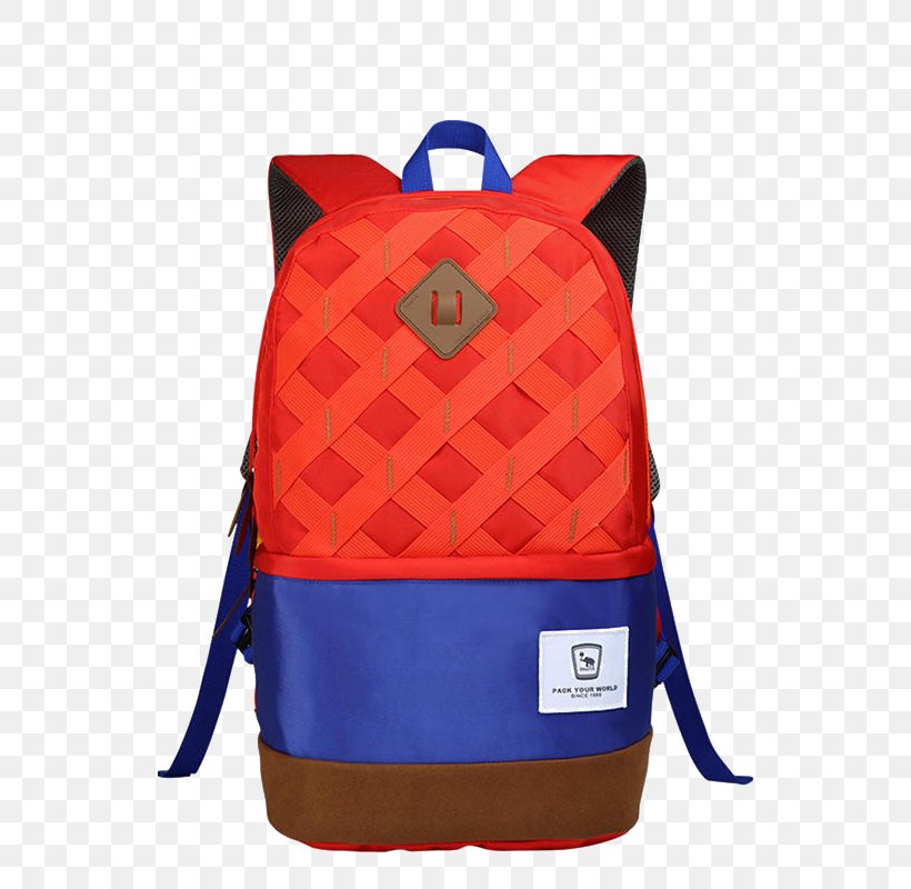 Handbag Backpack Satchel Travel, PNG, 800x800px, Handbag, Backpack, Backpacking, Bag, Baggage Download Free