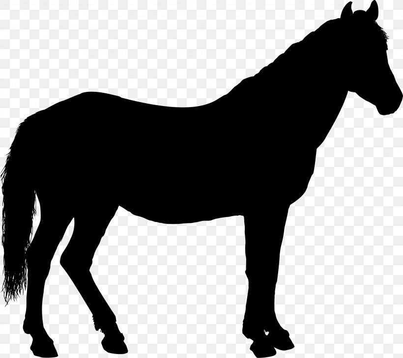 Horse Silhouette Clip Art, PNG, 2282x2031px, Horse, Black And White, Bridle, Canter And Gallop, Colt Download Free