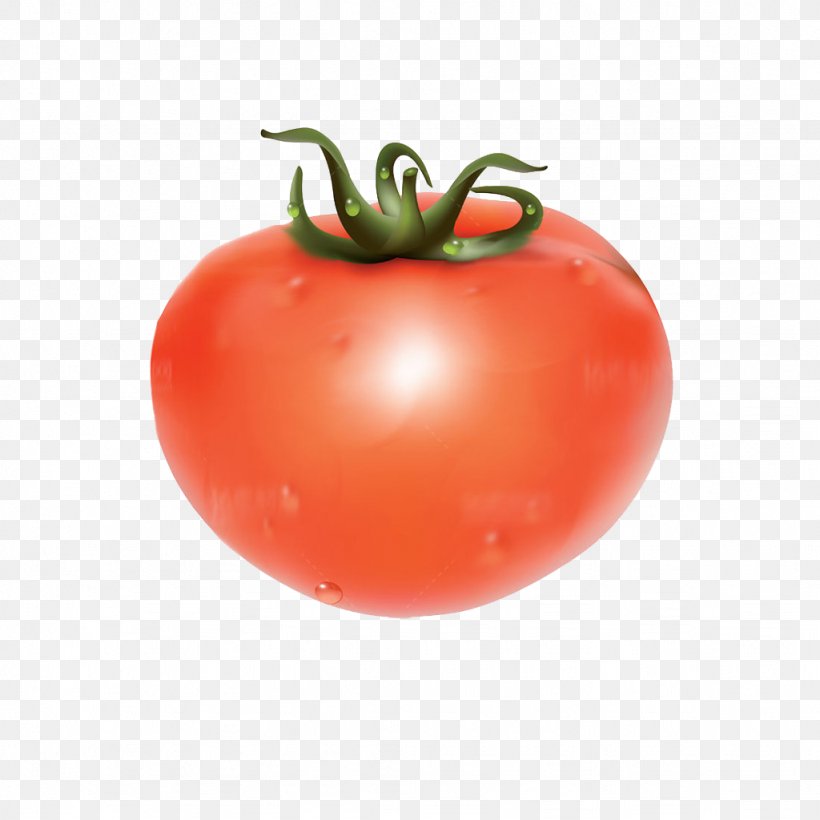 Juice Pizza Tomato Vegetable, PNG, 1024x1024px, Juice, Bush Tomato, Cartoon, Diet Food, Drawing Download Free