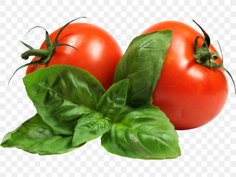 Tomato Soup Cherry Tomato Vegetarian Cuisine Pear Tomato, PNG, 866x650px, Tomato Soup, Basil, Bush Tomato, Cherry Tomato, Cherry Tomatoes Download Free
