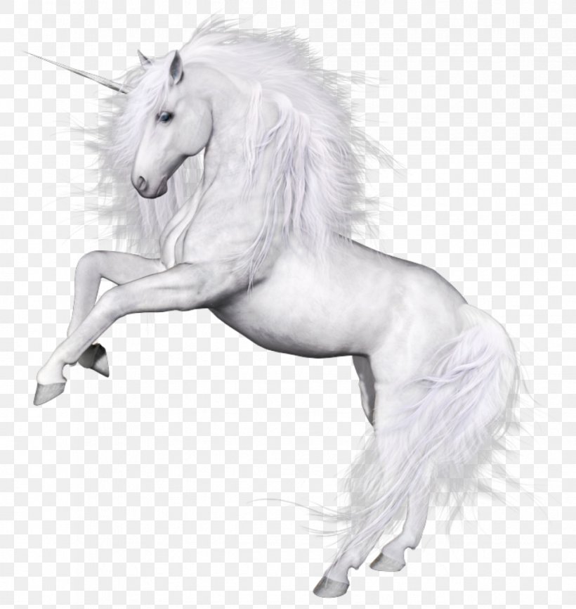 Unicorn Horse Oreus Kristian's Quest Mane, PNG, 969x1024px, Horse, Black And White, Drawing, Fictional Character, Horse Like Mammal Download Free