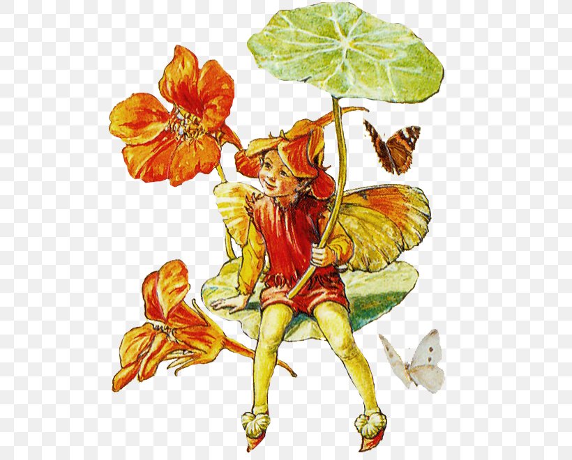 A Flower Fairy Alphabet The Book Of The Flower Fairies, PNG, 522x660px, Fairy, Art, Book Of The Flower Fairies, Cicely Mary Barker, Costume Design Download Free