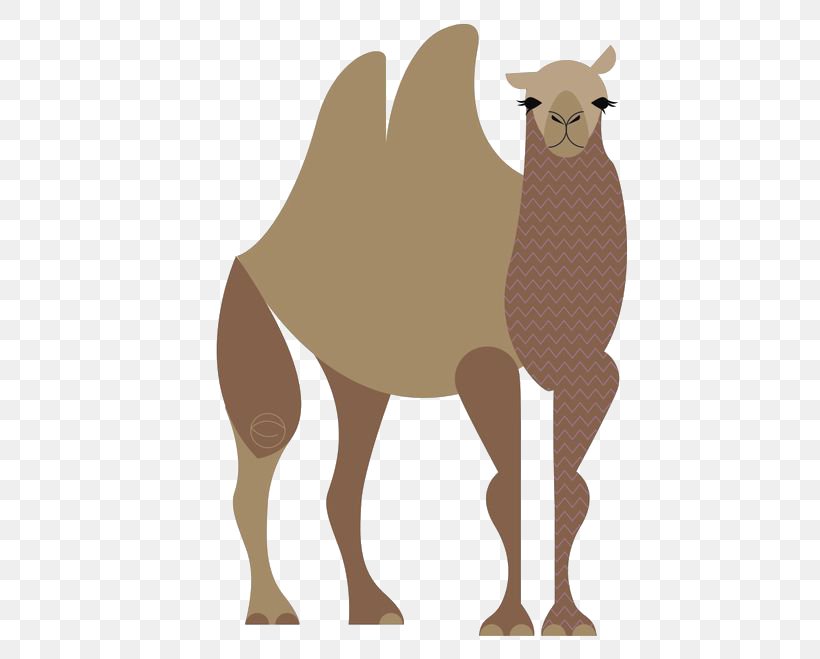 Dromedary Llama Cartoon Giraffe Illustration, PNG, 500x659px, Dromedary, Animal, Arabian Camel, Camel, Camel Like Mammal Download Free
