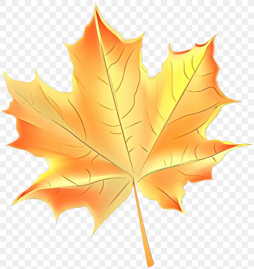 Family Tree Background, PNG, 2833x3000px, Autumn Leaf Color, Autumn, Black Maple, Deciduous, Flower Download Free
