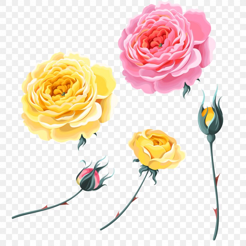 Garden Roses Beach Rose Yellow, PNG, 2480x2480px, Garden Roses, Beach Rose, Cut Flowers, Floral Design, Floristry Download Free