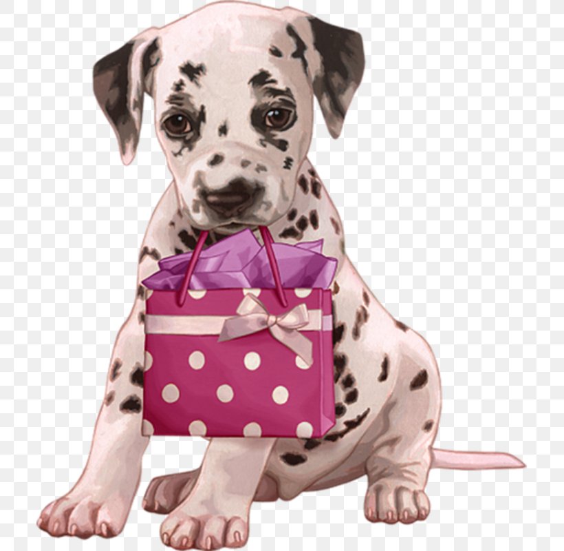 Puppy Dalmatian Dog Labrador Retriever Yorkshire Terrier Kitten, PNG, 713x800px, Puppy, Carnivoran, Companion Dog, Cuteness, Dalmatian Download Free