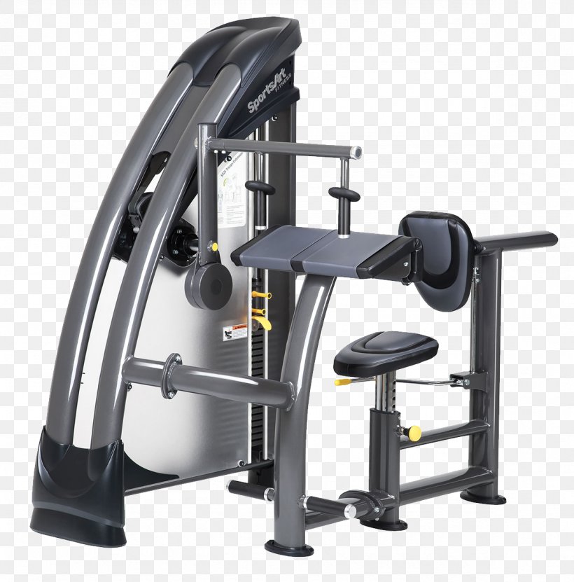 Triceps Brachii Muscle Lying Triceps Extensions Fitness Centre Row Physical Fitness, PNG, 1183x1200px, Triceps Brachii Muscle, Bodybuilding, Dip, Exercise, Exercise Equipment Download Free