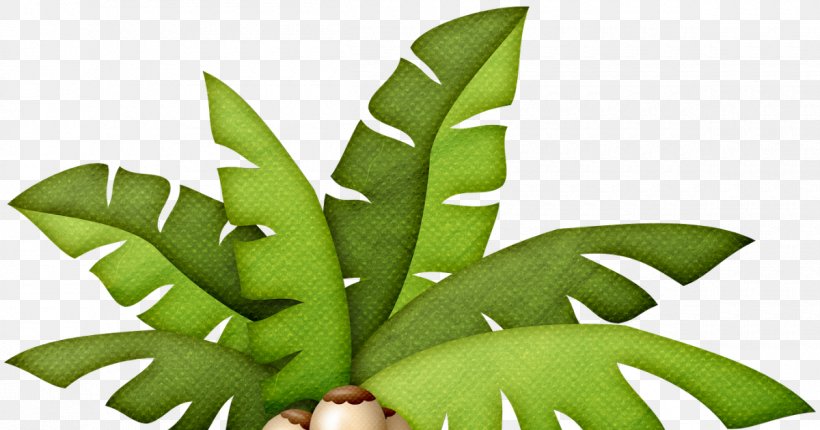Arecaceae Tree Clip Art, PNG, 1200x630px, Arecaceae, Albom, Animation, Document, Film Download Free