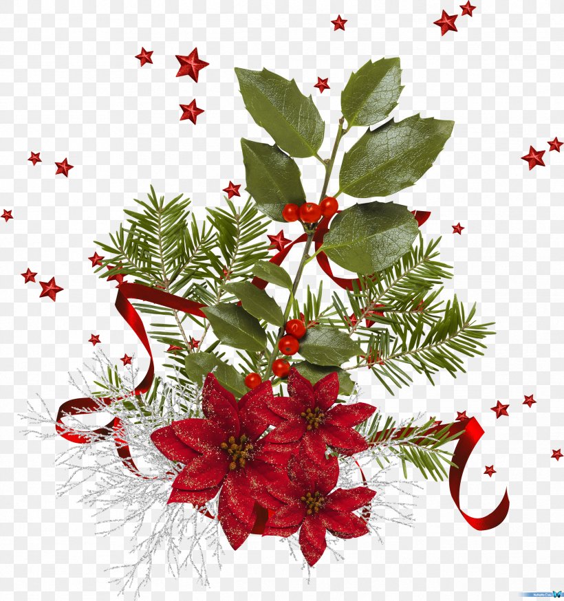Cut Flowers Floral Design Holly Floristry, PNG, 2433x2594px, Flower, Aquifoliaceae, Aquifoliales, Branch, Christmas Download Free