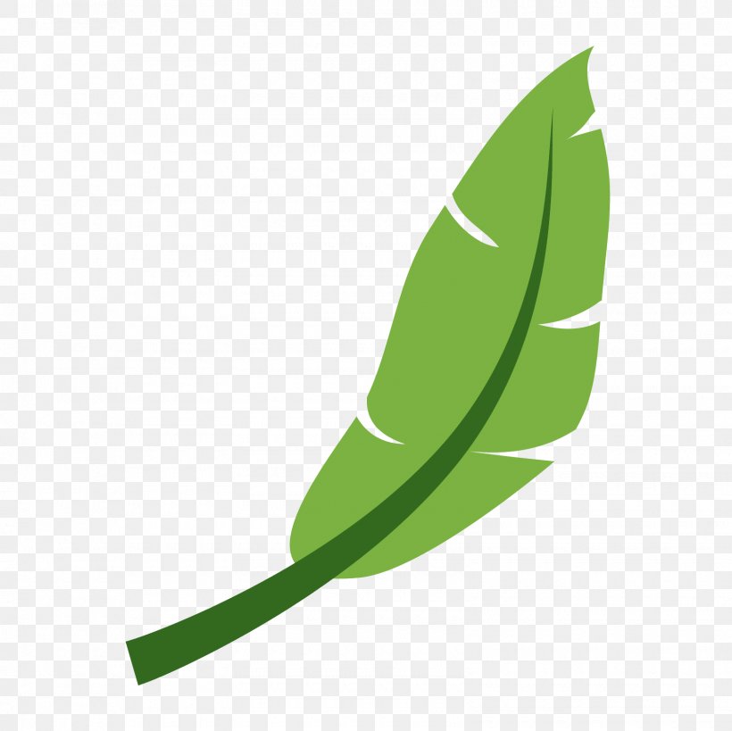 Haiku Operating Systems BeOS, PNG, 1600x1600px, Haiku, Beos, Grass, Green, Leaf Download Free