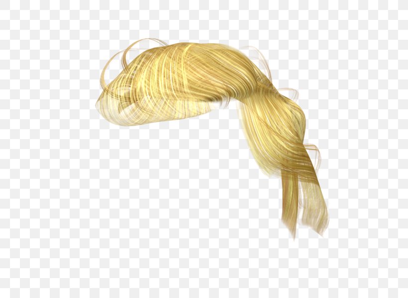 Hairstyle Hair Tie TurboSquid Graphics Software, PNG, 600x600px, 3d Computer Graphics, Hair, Blond, Donald Trump, Graphics Software Download Free