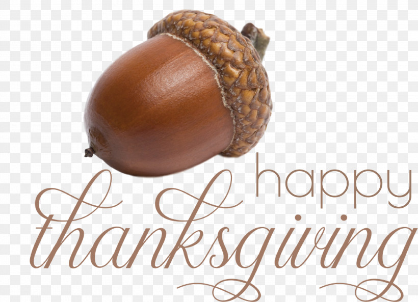 Happy Thanksgiving Thanksgiving Day Thanksgiving, PNG, 2999x2171px, Happy Thanksgiving, Acorn, Ingredient, Meter, Nut Download Free