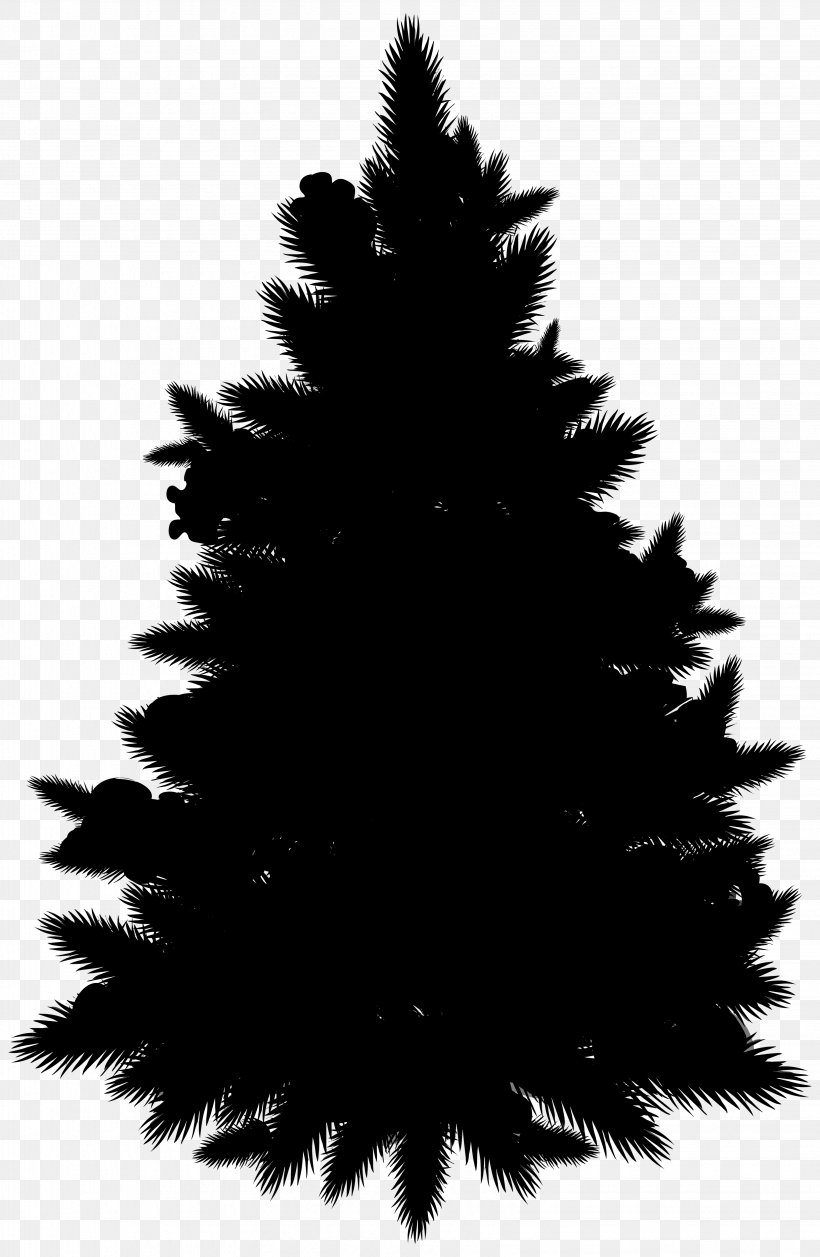 Spruce Christmas Tree Fir Christmas Ornament Pine, PNG, 3261x5000px, Spruce, American Larch, Balsam Fir, Black, Black White M Download Free
