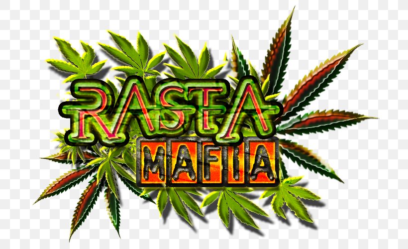 Cannabis Hemp Hashish Illegal Drug Trade, PNG, 706x500px, Cannabis, Bag, Culture, Drug, Game Download Free