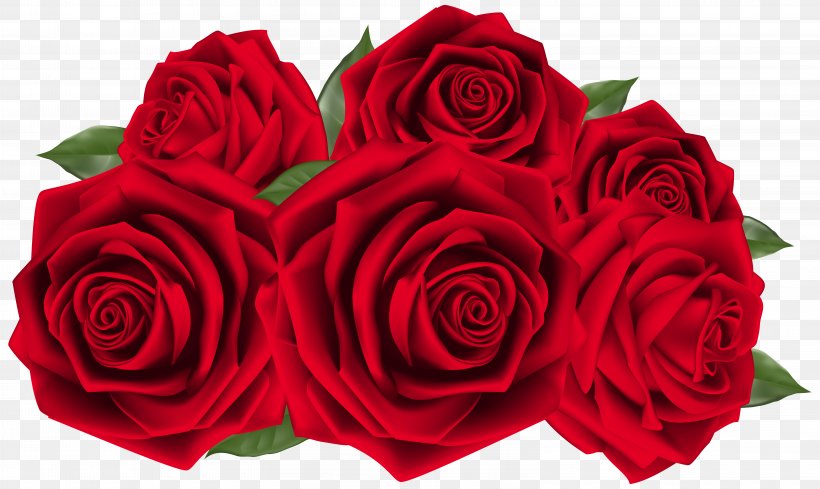 Garden Roses Flower Clip Art, PNG, 6217x3715px, Rose, Blue Rose, Cut Flowers, Floral Design, Floribunda Download Free