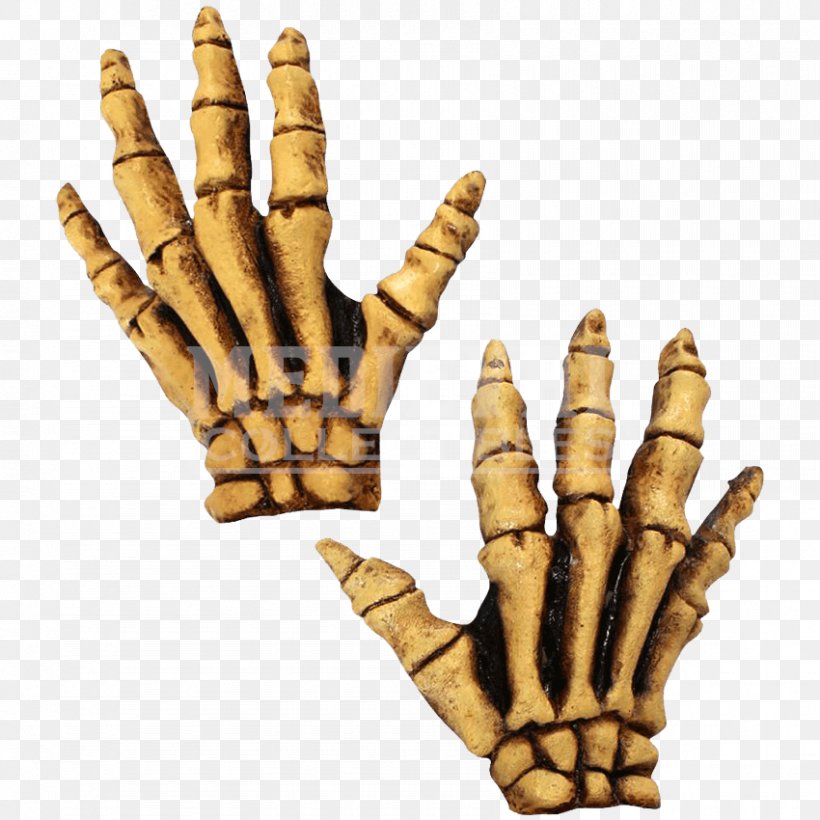 Human Skeleton Glove Costume Bone, PNG, 850x850px, Skeleton, Anatomy, Bone, Carnival, Clothing Download Free