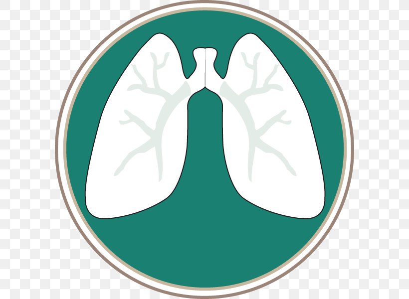 Interstitial Lung Disease Pulmonology Pulmonary Hypertension Southern Lung Specialists, PC, PNG, 600x600px, Lung, Area, Disease, Green, Interstitial Lung Disease Download Free