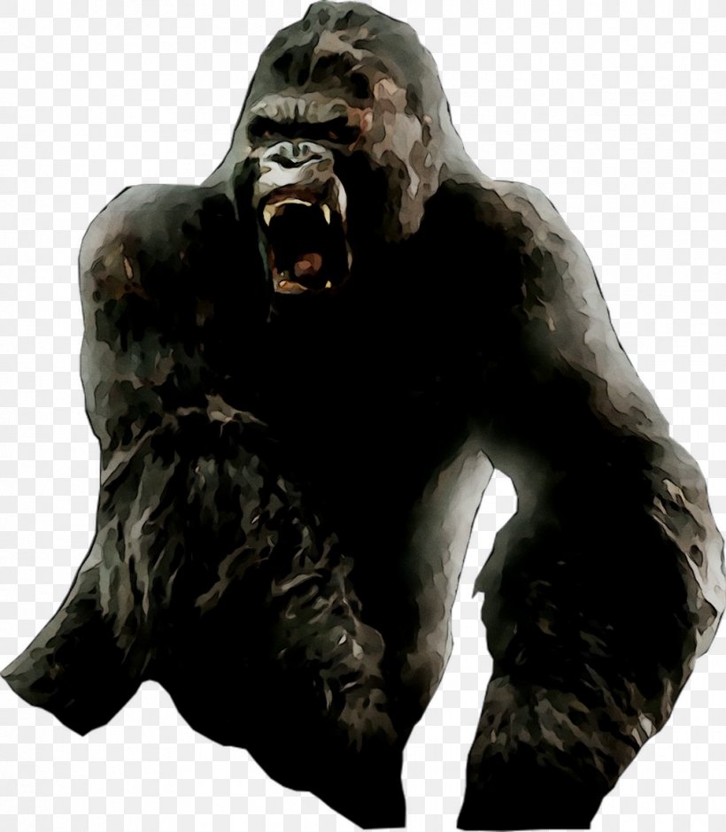 Western Gorilla Common Chimpanzee Snout, PNG, 1016x1165px, Western Gorilla, Common Chimpanzee, Fictional Character, Gorilla, Pan Download Free