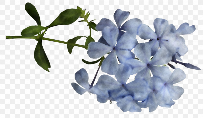 Floral Design, PNG, 2560x1488px, Floral Design, Blue, Cut Flowers, Flower, Leaf Download Free