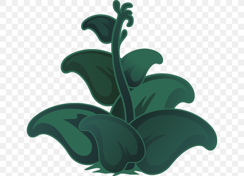 Leaf Plant Clip Art, PNG, 640x591px, Leaf, Green, Organism, Petal, Plant Download Free