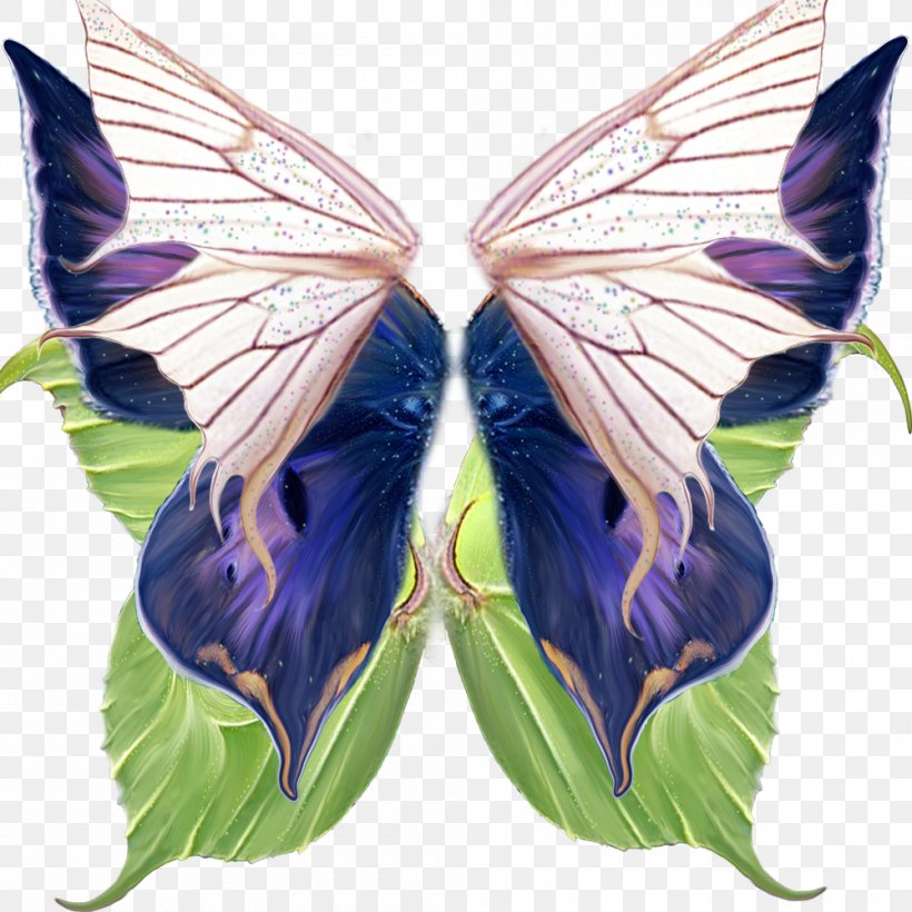 Butterfly Download Gratis, PNG, 1000x1000px, Butterfly, Brush Footed Butterfly, Butterflies And Moths, Fairy, Gratis Download Free