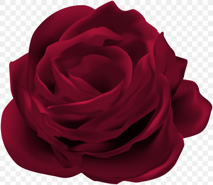 Garden Roses Cabbage Rose Flower Clip Art, PNG, 8000x6958px, Garden Roses, Cabbage Rose, Cut Flowers, Floristry, Flower Download Free