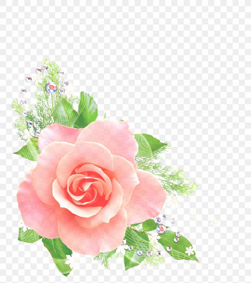 Garden Roses, PNG, 1024x1154px, Flower, Cut Flowers, Flowering Plant, Garden Roses, Petal Download Free