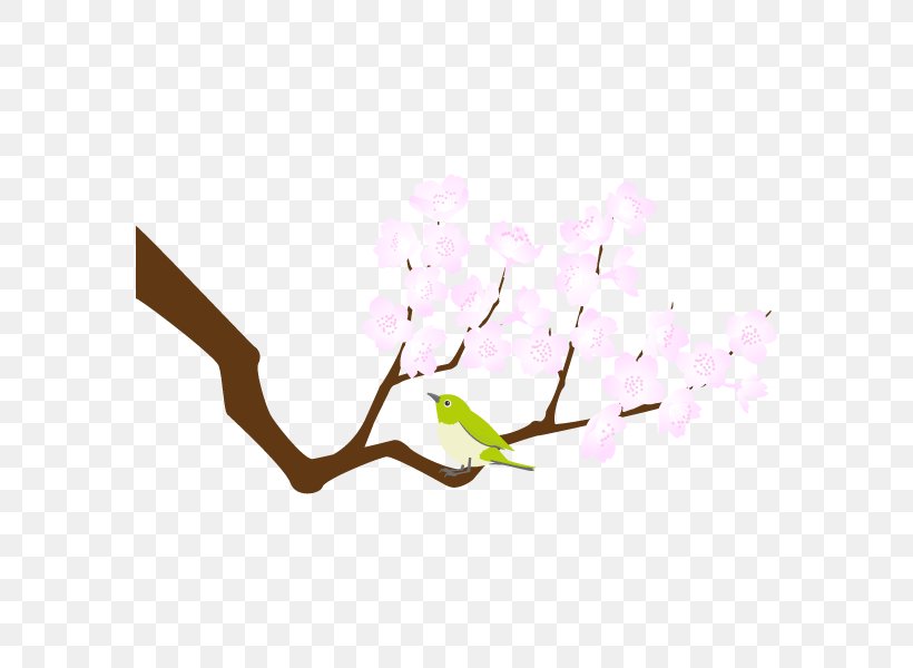 Illustration Drawing Clip Art Text Plants, PNG, 600x600px, Drawing, Blossom, Branch, Caricature, Cherry Blossom Download Free