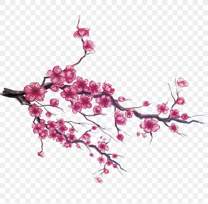 Japan Cherry Blossom Download, PNG, 1870x1829px, Japan, Blossom, Branch