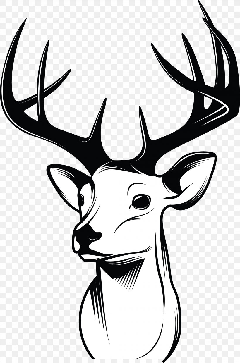 Deer Drawing Sketch, PNG, 2091x3166px, Deer, Antler, Art, Art Museum, Black And White Download Free