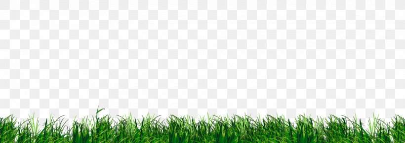 Lawn Wheatgrass Grassland Crop Sky Plc, PNG, 1920x680px, Lawn, Commodity, Crop, Field, Grass Download Free