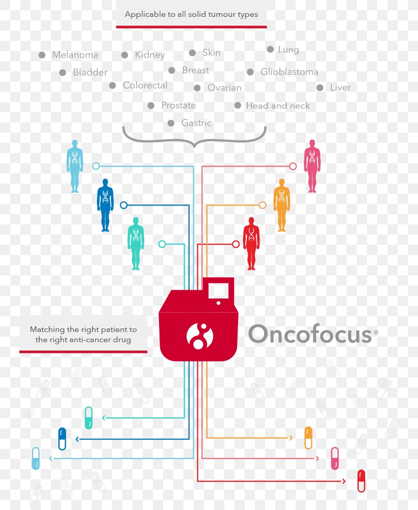 Oncology Targeted Therapy Treatment Of Cancer Cancer Screening, PNG, 783x1000px, Oncology, Acute Lymphoblastic Leukemia, Area, Brand, Cancer Download Free