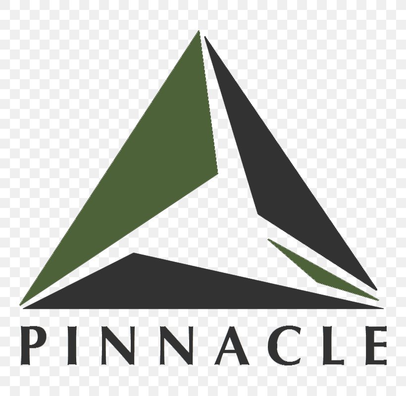 Pinnacle Lien Services Inc Triangle Brand Email Logo, PNG, 800x800px, Triangle, Area, Brand, Email, Facebook Download Free