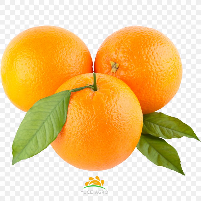 Clip Art Orange Image Psd, PNG, 1000x1000px, Orange, Bitter Orange, Calamondin, Citric Acid, Citrus Download Free