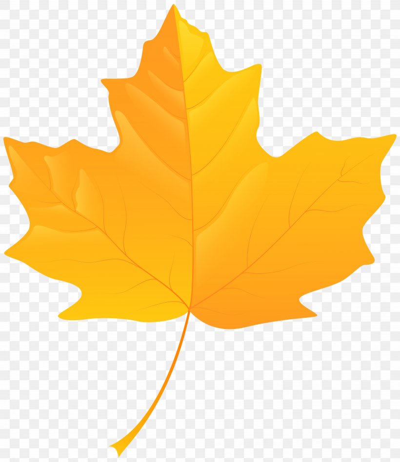 Yellow Autumn Leaf Color Clip Art, PNG, 6918x8000px, Yellow, Autumn, Autumn Leaf Color, Blog, Color Download Free
