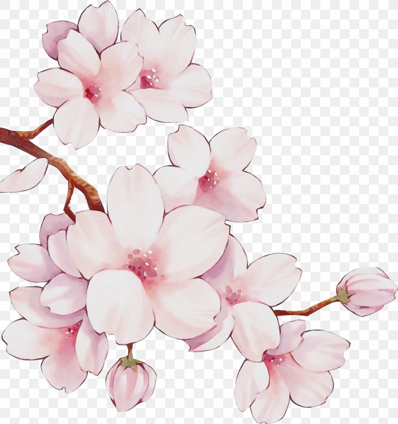 Cherry Blossom, PNG, 1274x1357px, Watercolor, Blossom, Branch, Cherry Blossom, Flower Download Free