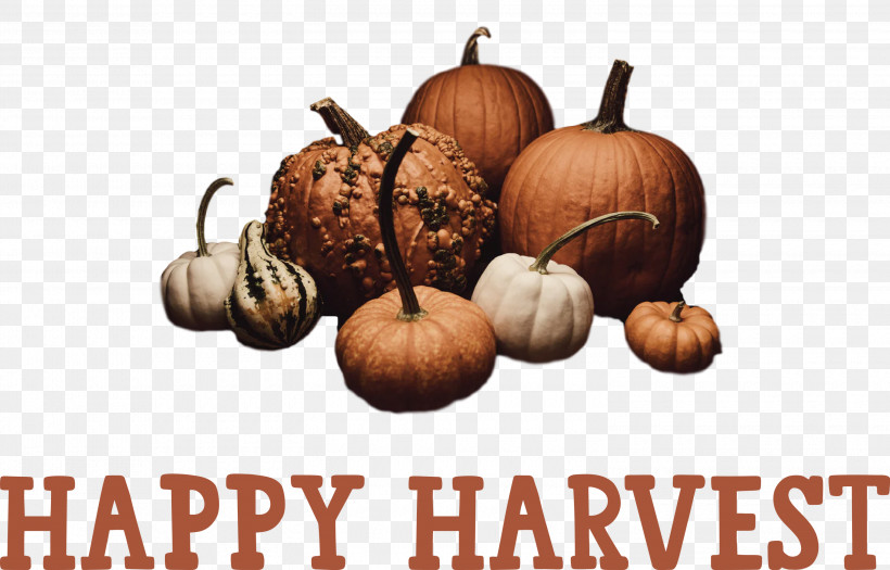 Happy Harvest Harvest Time, PNG, 3000x1923px, Happy Harvest, Autumn, Drawing, Gourd, Harvest Time Download Free