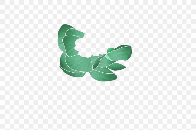 Product Design Leaf, PNG, 1800x1200px, Leaf, Flower, Green, Logo, Petal Download Free