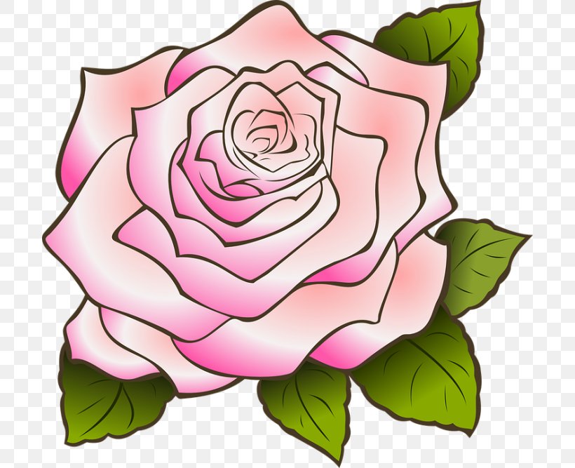 Clip Art Rose Free Content Pink, PNG, 700x667px, Rose, Botany, Camellia, China Rose, Cut Flowers Download Free